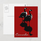 Kanada Souvenir Postkarten Kanada Geese Cards (Vorne/Hinten)