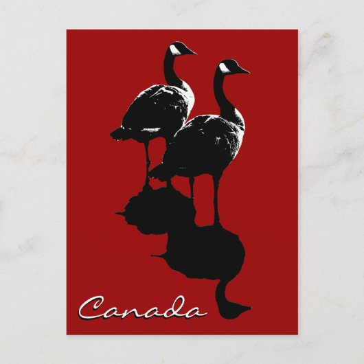 Kanada Souvenir Postkarten Kanada Geese Cards (Vorderseite)