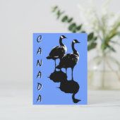 Kanada Souvenir Postkarten Kanada Geese Cards (Stehend Vorderseite)