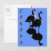 Kanada Souvenir Postkarten Kanada Geese Cards (Vorne/Hinten)