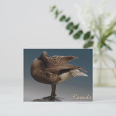 Kanada Souvenir Postkarten Kanada Geese Cards (Stehend Vorderseite)