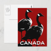 Kanada Souvenir Postkarten Kanada Geese Cards (Vorne/Hinten)