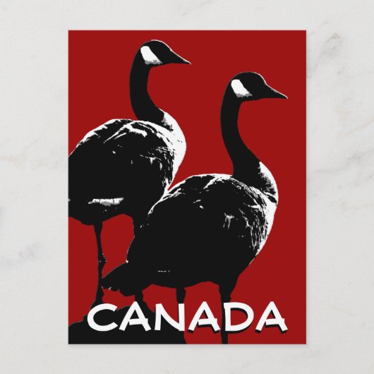 Kanada Souvenir Postkarten Kanada Geese Cards (Vorderseite)
