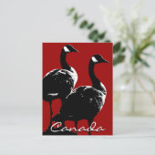 Kanada Souvenir Postkarten Kanada Geese Cards (Stehend Vorderseite)