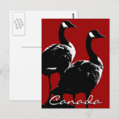 Kanada Souvenir Postkarten Kanada Geese Cards (Vorne/Hinten)