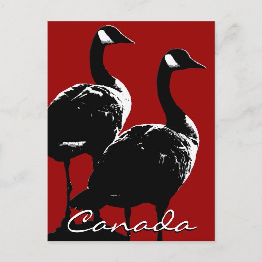 Kanada Souvenir Postkarten Kanada Geese Cards (Vorderseite)