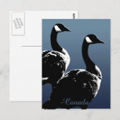 Kanada Souvenir Postkarten Kanada Geese Cards (Vorne/Hinten)