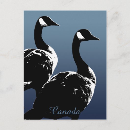 Kanada Souvenir Postkarten Kanada Geese Cards (Vorderseite)
