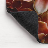 Kanada, Sukkuläre Pflanze Mousepad (Ecke)