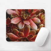 Kanada, Sukkuläre Pflanze Mousepad (Mit Mouse)