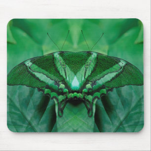 Kanada, Victoria, Victoria Butterfly Gardens Mousepad