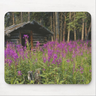 Kanada, Yukon, Gebiet Ross River, Verlassene Hütte Mousepad