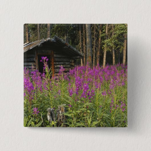 Kanada, Yukon, Ross River Area, Abandoned cabine Button (Vorderseite)