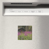 Kanada, Yukon, Ross River area, Abandoned cabine Magnet (In Situ (Geschirrspüler))