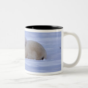 Kanada Zweifarbige Tasse