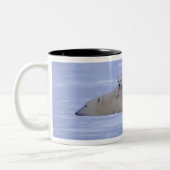Kanada Zweifarbige Tasse (Links)