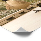 Kanadagans auf dem Dock Poster (Ecke)