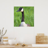 Kanadagans Fotoplakat Poster (Küche)