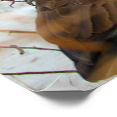 Kanadagans im Schnee Poster (Ecke)