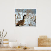 Kanadagans im Schnee Poster (Küche)