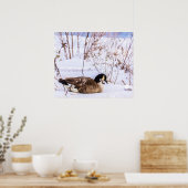 Kanadagans im Schnee Poster (Küche)