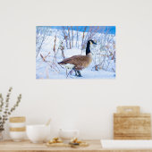 Kanadagans im Schnee Poster (Küche)
