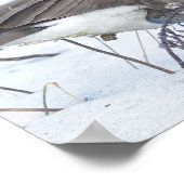 Kanadagans im Schnee Poster (Ecke)