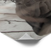 Kanadagans im Schnee Poster (Ecke)
