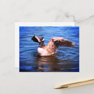 Kanadagans schlägt mit den Flügeln Blaues Wasser N Postkarte