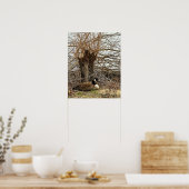 Kanadagans von Baum Poster (Küche)