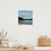 Kanadagänse am See Poster (Küche)
