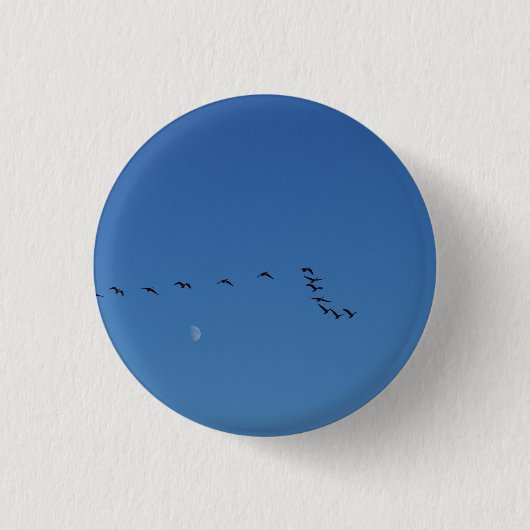 Kanadagänse im Flug Button (Vorderseite)