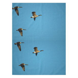 Kanadagänse im Flug Tischdecke