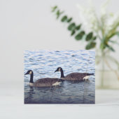 Kanadagänse Postkarte (Stehend Vorderseite)