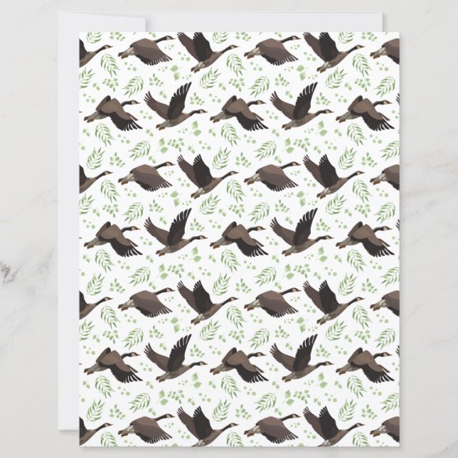 Kanadagänse Scrapbook Papier (Vorderseite)