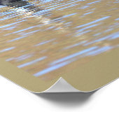 Kanadagansposter Poster (Ecke)