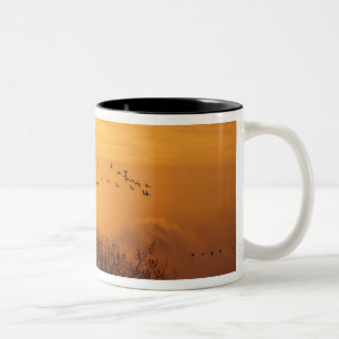 Kanadakraniche gegen aufgehende Sonne silhouettier Zweifarbige Tasse
