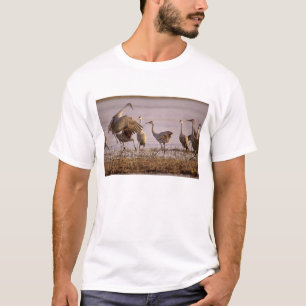 Kanadakraniche (Grus canadensis) Platte T-Shirt
