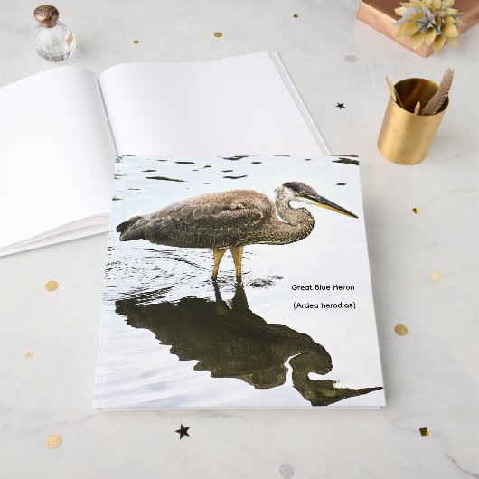 Kanadareiher (Ardea herodias) Gästebuch (Vorderseite offen)