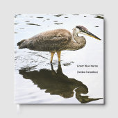 Kanadareiher (Ardea herodias) Gästebuch (Vorderseite)