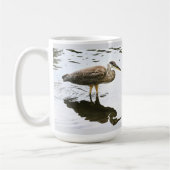 Kanadareiher (Ardea herodias) Kaffeetasse (Links)
