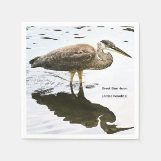 Kanadareiher (Ardea herodias) Serviette