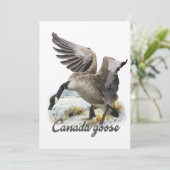 Kanadas Gans, Art Einladung (Stehend Vorderseite)