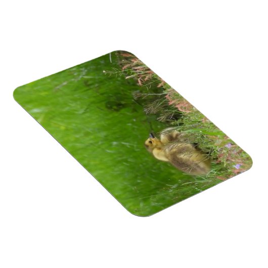 Kanadas Gänse Magnet (Rechte Seite)