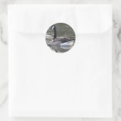 Kanadas-Gänse Runder Aufkleber (Tasche)