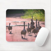 Kanadas Gänsefamilie Mousepad (Mit Mouse)