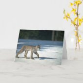 Kanadas Luchs im Schnee Karte (Gelbe Blume)
