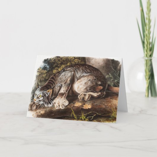 Kanadas Lynx (Lynx Canadensis) Illustration Karte (Vorderseite)