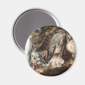 Kanadas Lynx (Lynx Canadensis) Illustration Magnet (Vorderseite/Rückseite)