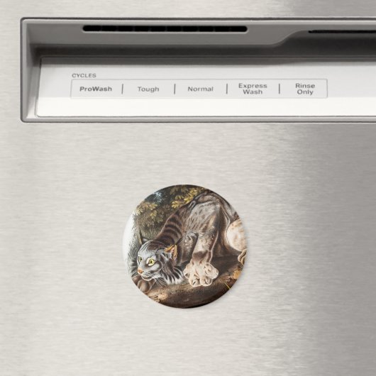 Kanadas Lynx (Lynx Canadensis) Illustration Magnet (In Situ (Geschirrspüler))